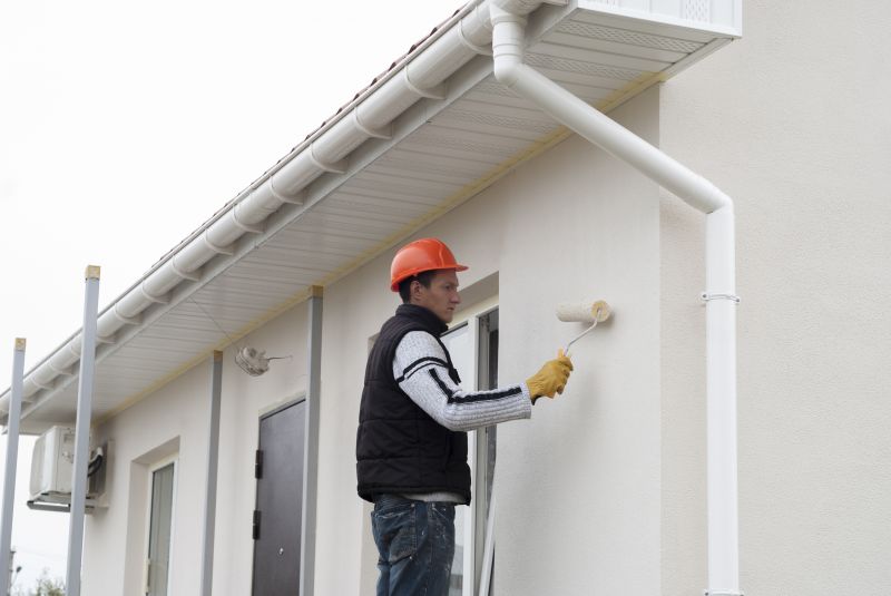 Gutters Painting in Longmont, CO